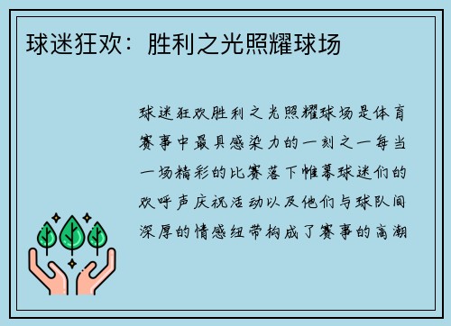 球迷狂欢：胜利之光照耀球场