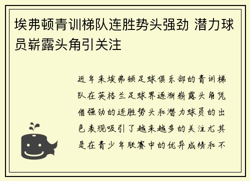 埃弗顿青训梯队连胜势头强劲 潜力球员崭露头角引关注