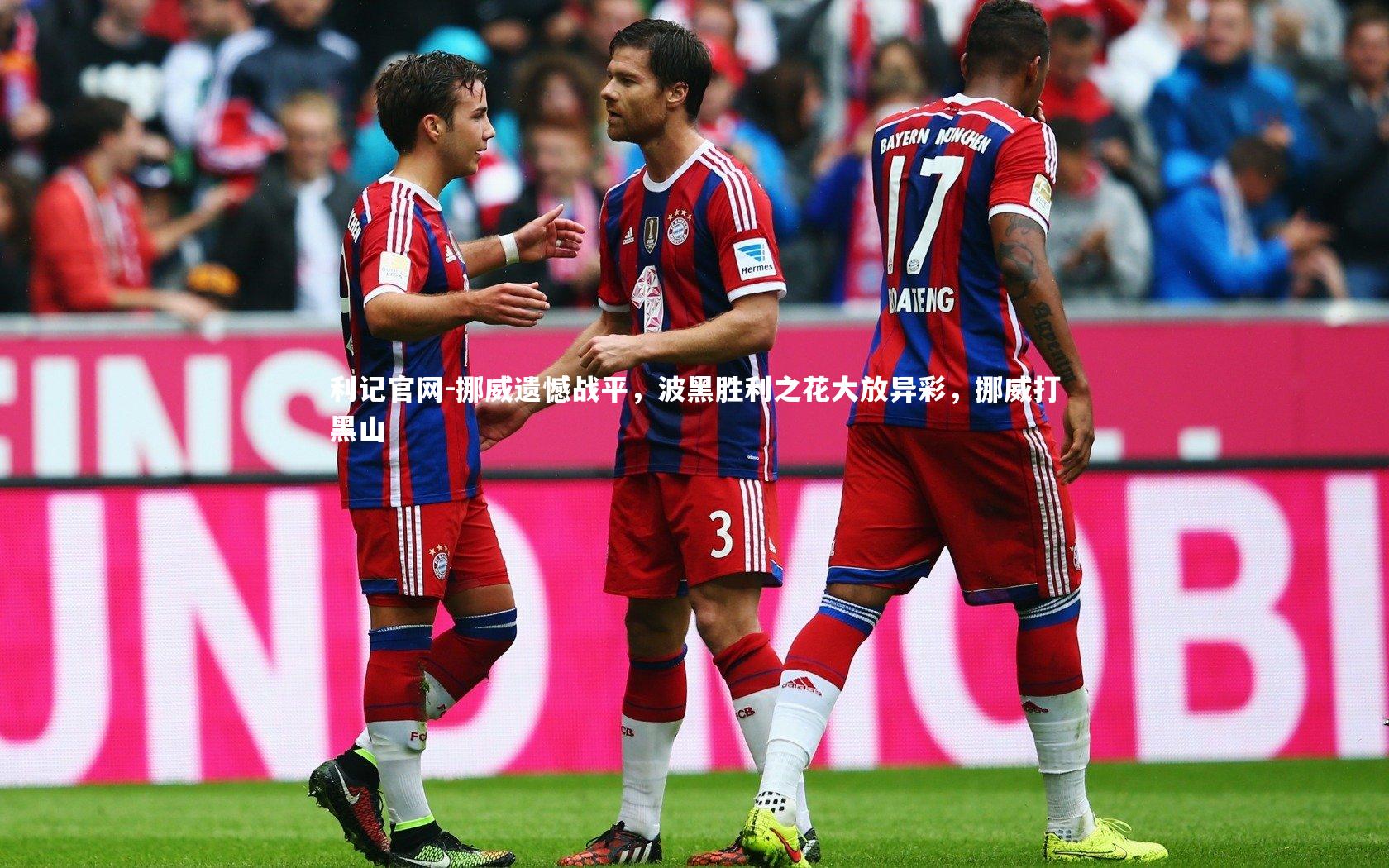 挪威遗憾战平，波黑胜利之花大放异彩，挪威打黑山